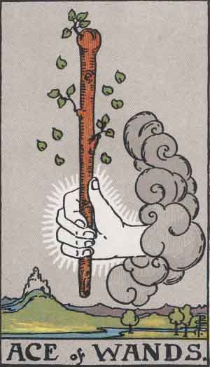 Ace of wands