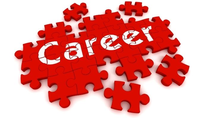 Numerology career