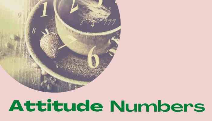 Numerology Attitude Number