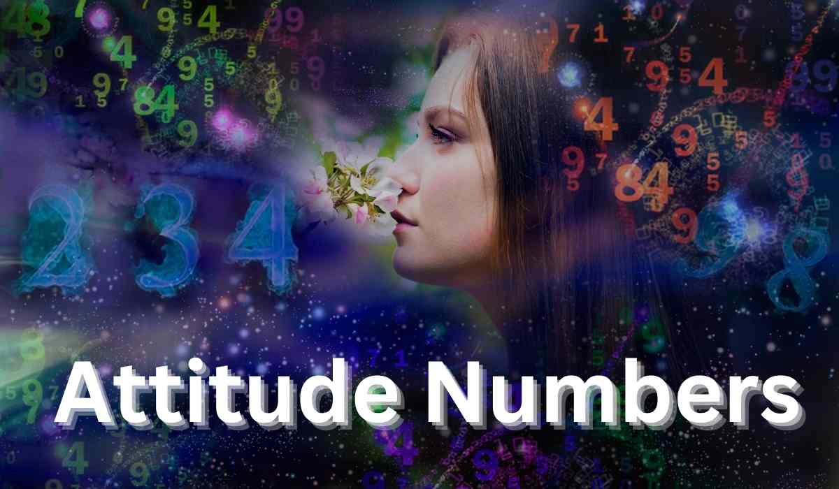 Numerology Attitude Number