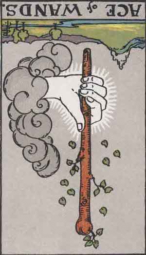 Ace of wands meaning reversed