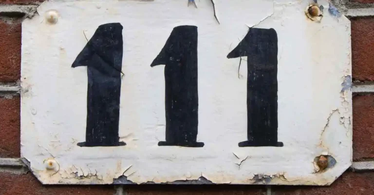 Numerology 111
