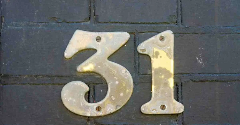 31 numerology